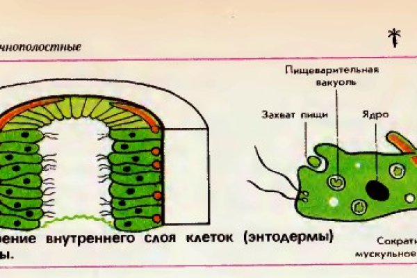 Как попасть на кракен с айфона